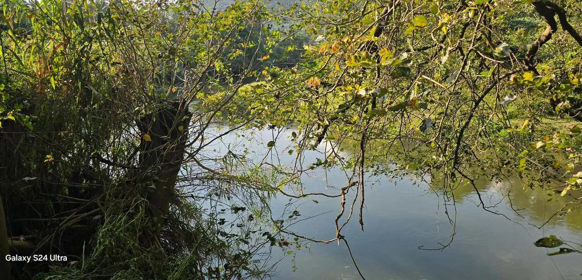 Farm stay Mountain River Farm Resort Agali